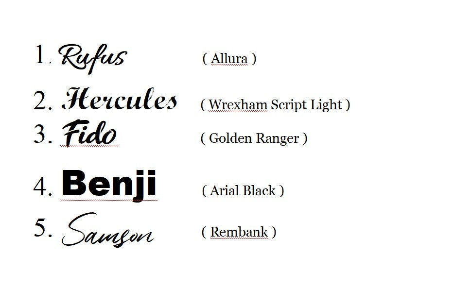 Elevated Small & Medium Double Dog or Cat Bowl Stand Feeding Station with Stainless Steel Bowls and Free Laser Engraved Name Tag